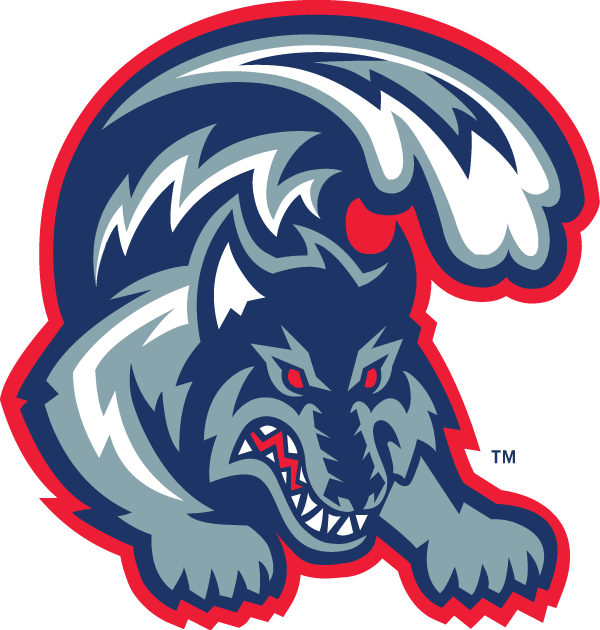 Stony Brook Seawolves 1998-2007 Alternate Logo diy fabric transfers